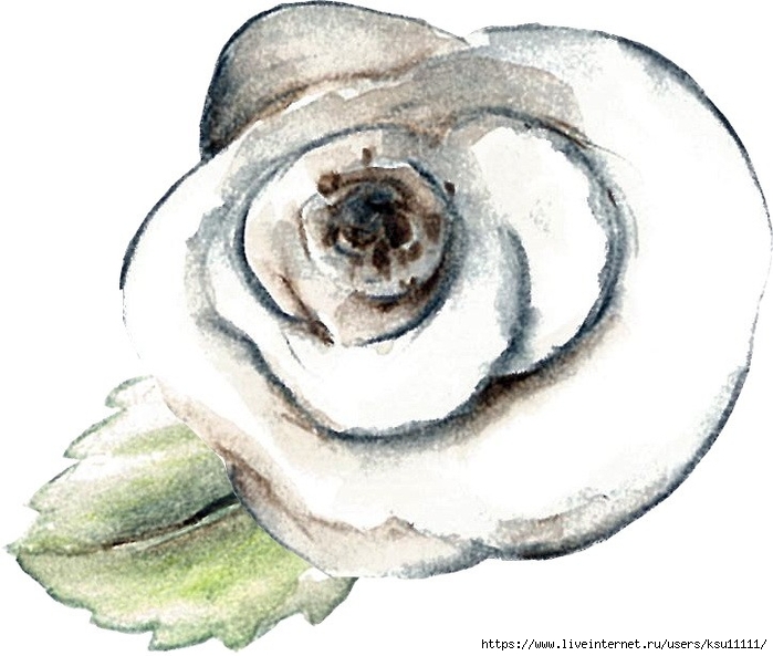 rose w (700x593, 208Kb)