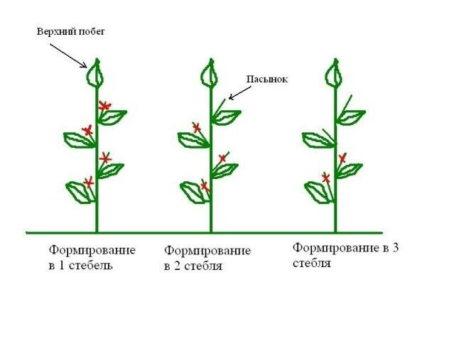 8QguthiDfhs (639x480, 82Kb)