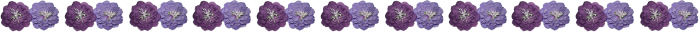  (700x32, 49Kb)