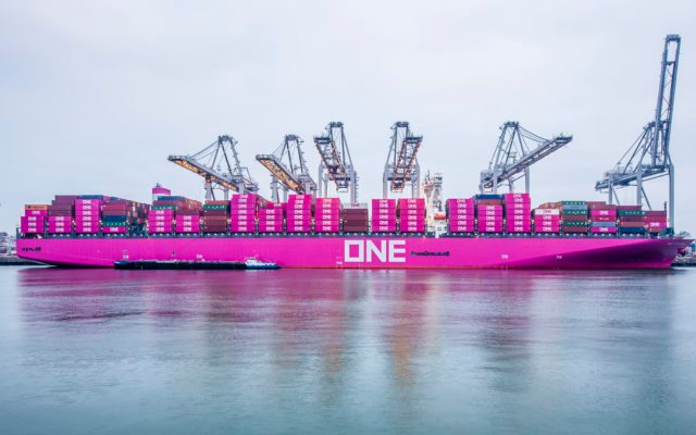 one-schip-roze-640x400 (640x400, 166Kb)