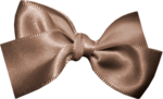 BVS beautiful bow02 (150x91, 20Kb)