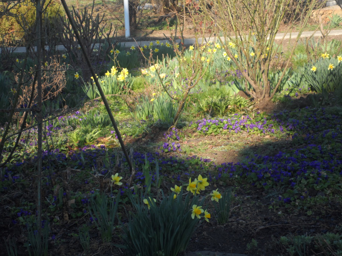 SAM_3579 (700x525, 521Kb)