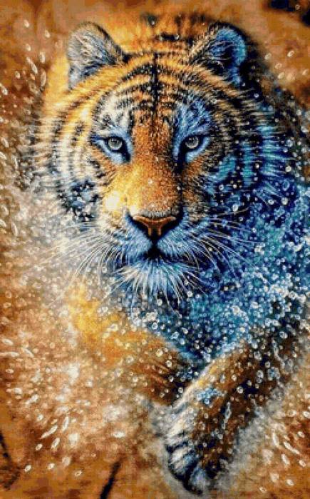 preview (435x700, 74Kb)