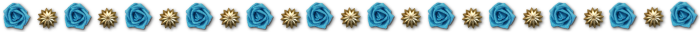  (700x32, 43Kb)