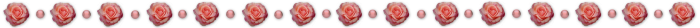  (700x28, 35Kb)