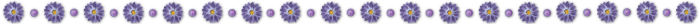  (700x24, 29Kb)