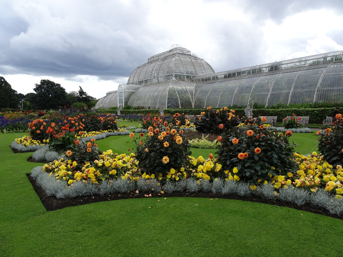 Ботанический сад кью в лондоне фото