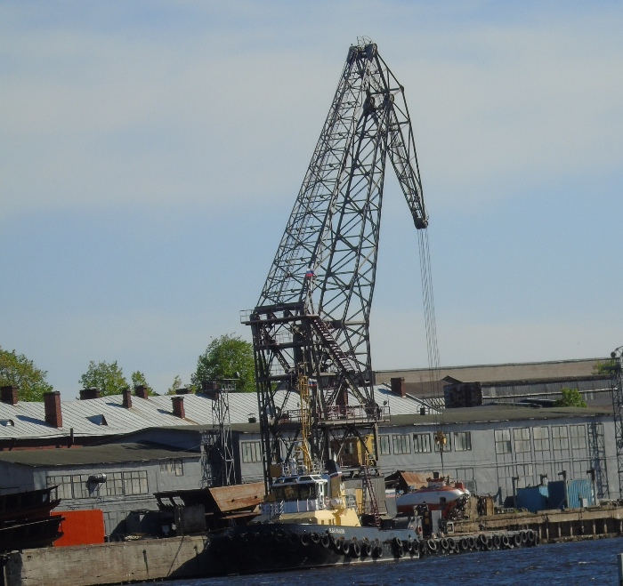 DSC00537 (700x659, 393Kb)