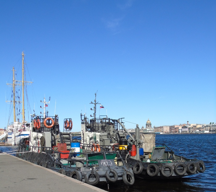 DSC00547 (700x623, 361Kb)