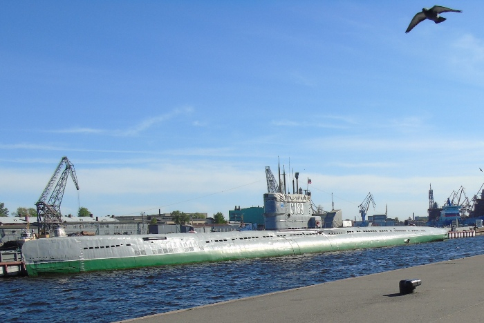 DSC00549 (700x468, 265Kb)