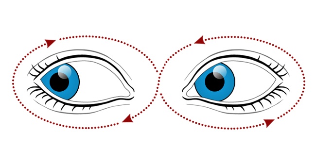 4709286_25539602650a542d8629a1484581704 (650x340, 45Kb)