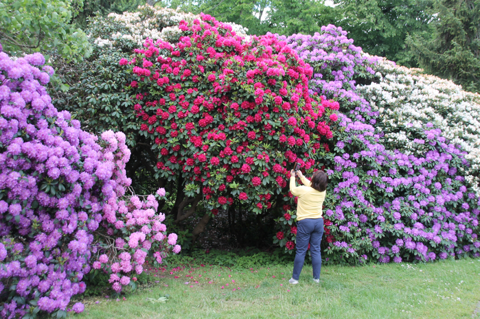 053 (700x465, 634Kb)