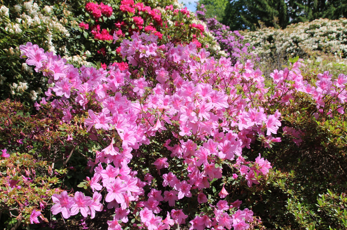 097 (700x465, 643Kb)