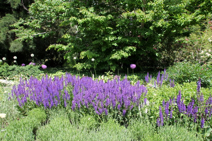 110 (700x465, 634Kb)