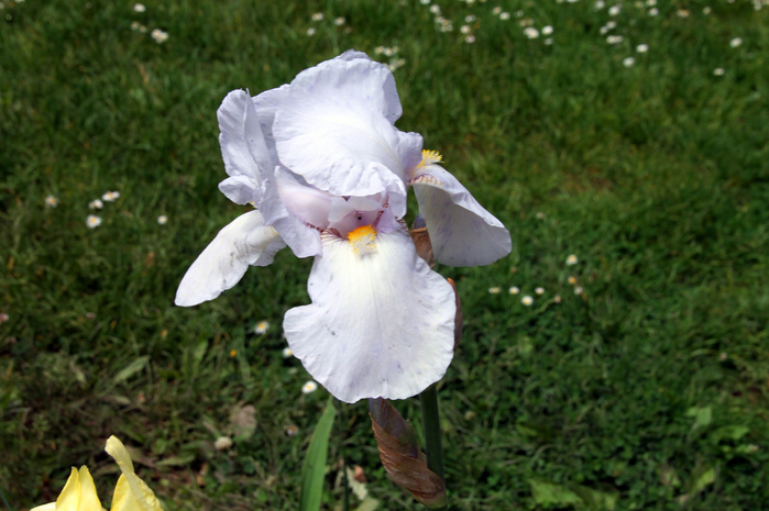 162 (700x465, 381Kb)