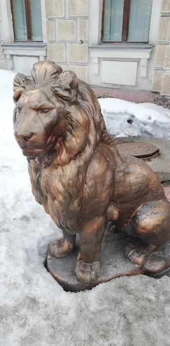 IMG_20200312_121919 (345x700, 262Kb)