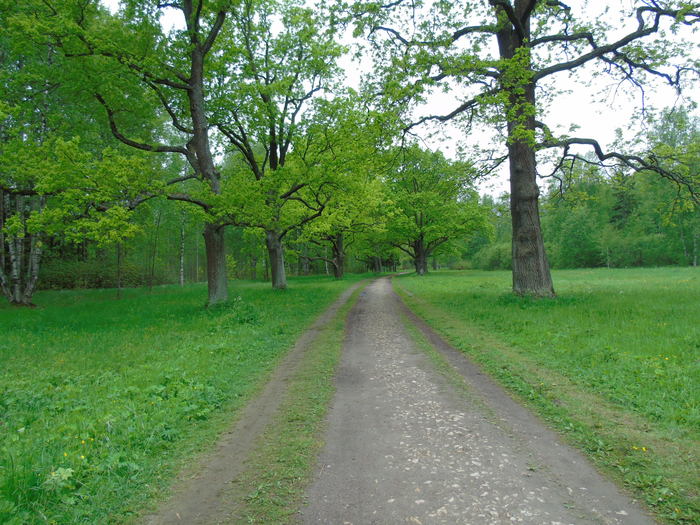 DSC01058 (700x525, 625Kb)