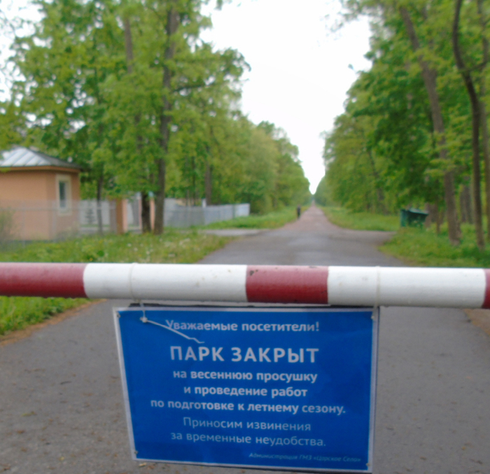 DSC01084 (700x677, 459Kb)