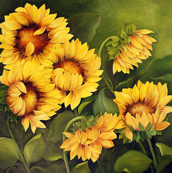 Sunflowers - Copy (697x700, 664Kb)
