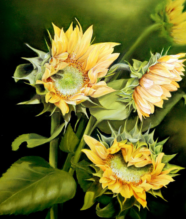 Les tournesols (595x700, 550Kb)