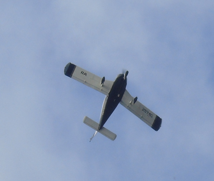 DSC01150 (700x592, 253Kb)