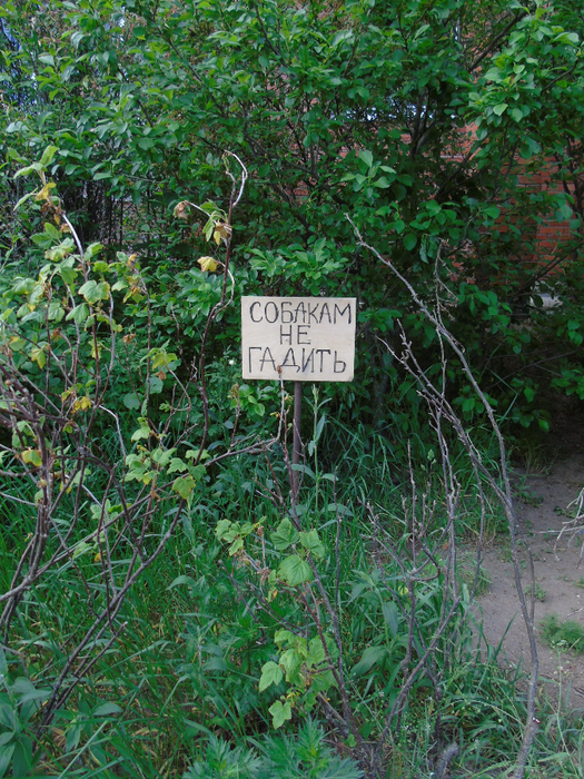 DSC01191 (525x700, 651Kb)