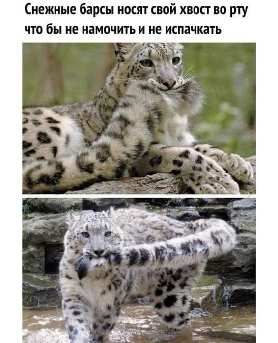  (566x700, 46Kb)