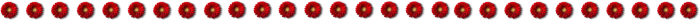 5 (700x20, 26Kb)