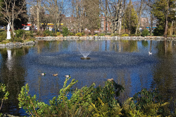 The_pond_and_fountain_in_Wright_Park (600x400, 273Kb)