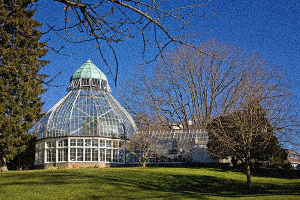 Seymour_Botanical_Conservatory (600x400, 289Kb)