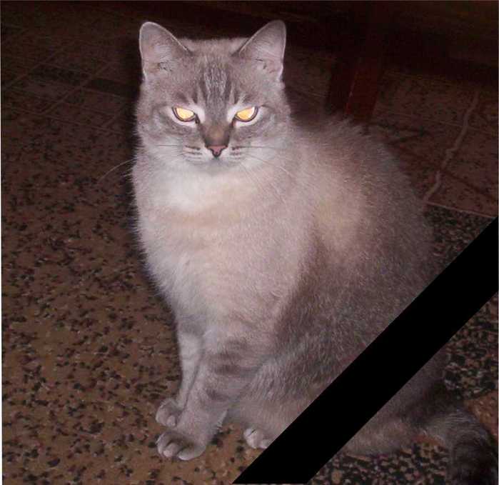  (700x679, 35Kb)
