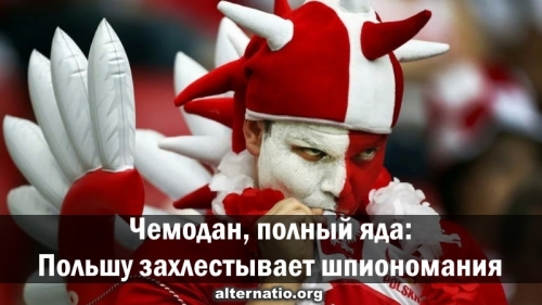 085b39cf4b9452878f00e4d3ea69af7c_XL (500x281, 108Kb)