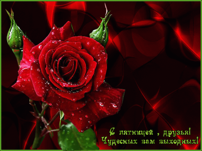 s-pyatn-1024x768 (700x525, 190Kb)