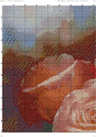   озовые розы (DMC)-001 (494x700, 584Kb)