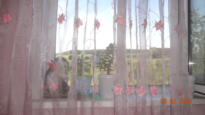 DSC09073 (700x393, 272Kb)