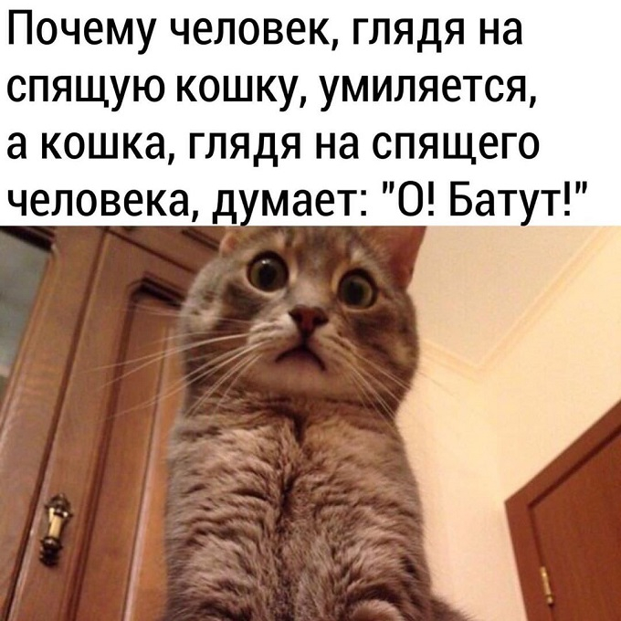 1585817027_pressa_tv_memes_24 (680x680, 263Kb)