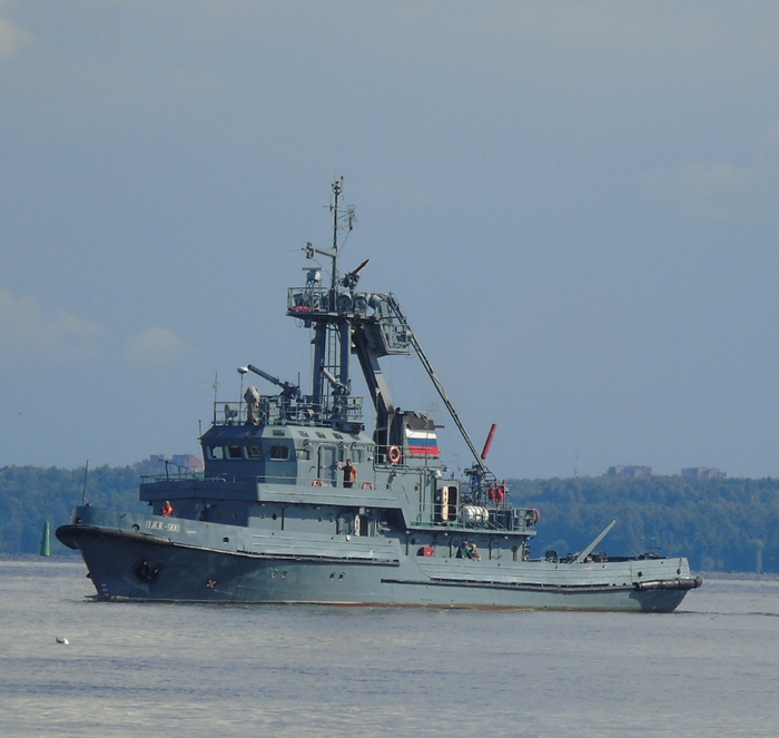 DSC00146 (700x663, 391Kb)