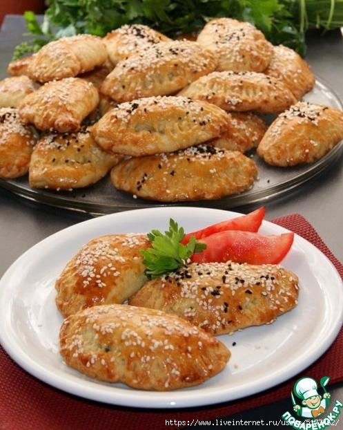 5177462_Image_3 (497x622, 265Kb)