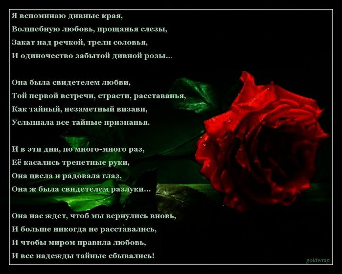 s1200 (700x560, 63Kb)