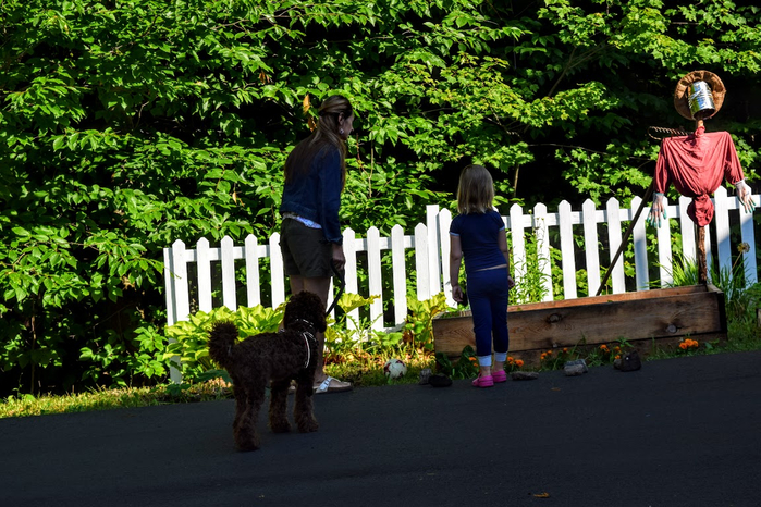 yn2 (700x466, 494Kb)