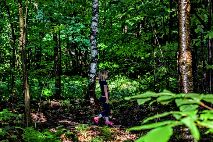 yn5 (700x466, 594Kb)