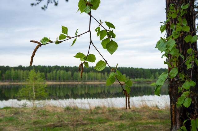 DSC02283 (640x425, 299Kb)
