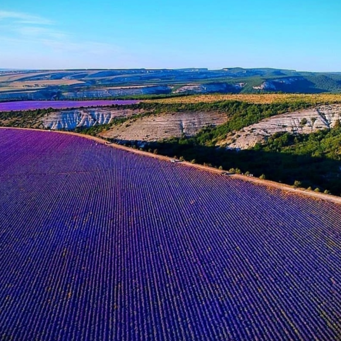 Вблизи села. Село Тургеневка Крым Лавандовые поля. Село Тургеневка Бахчисарайский район Лавандовые поля. Село Тургеневка Бахчисарайский район Лавандовые. Бахчисарай Тургеневка Лавандовое поле.