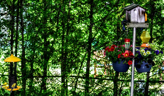 dv9 (700x410, 596Kb)