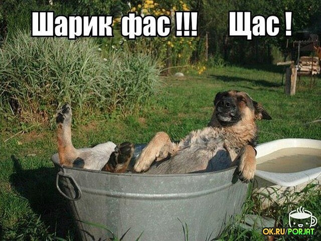 Bm4ubHZvM8 (640x480, 274Kb)