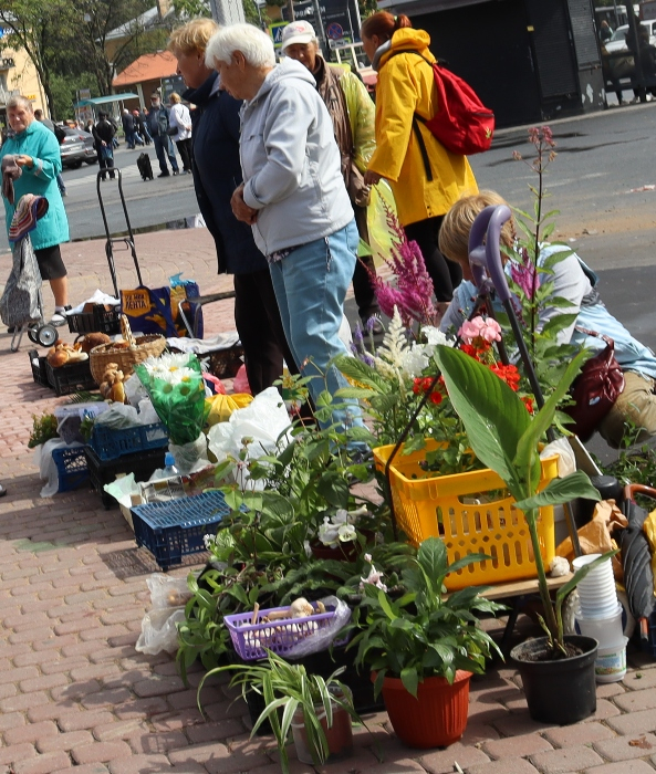 IMG_2303 (593x700, 571Kb)