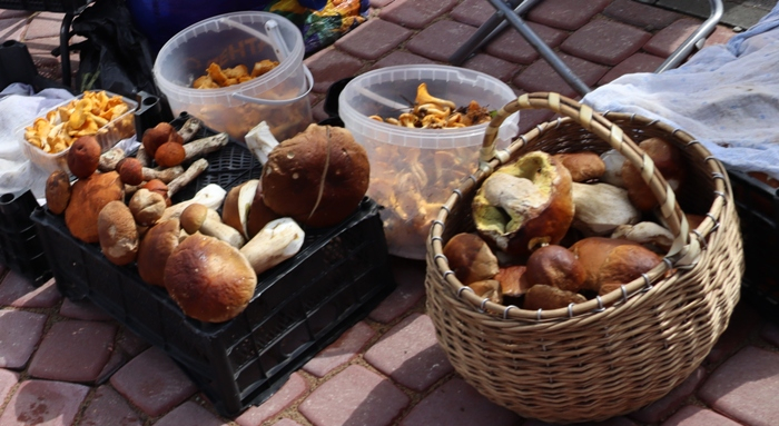 IMG_2305 (700x383, 322Kb)