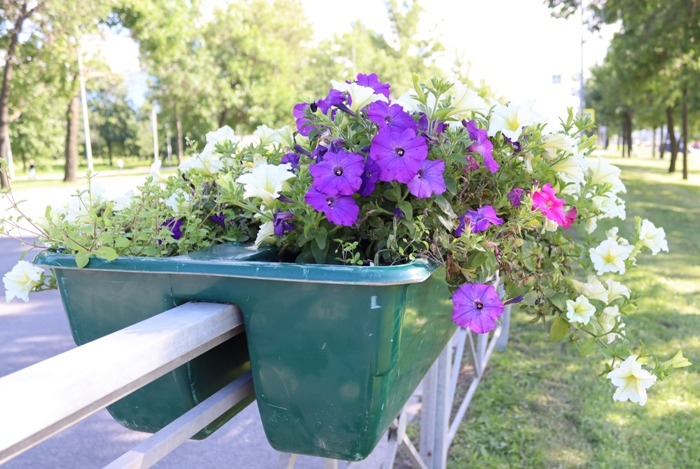 IMG_2420 (700x469, 413Kb)