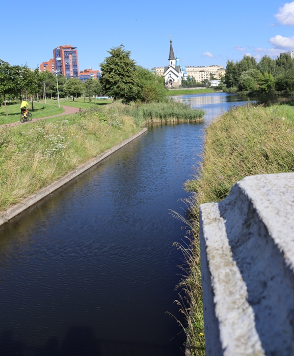 IMG_2439 (577x700, 447Kb)