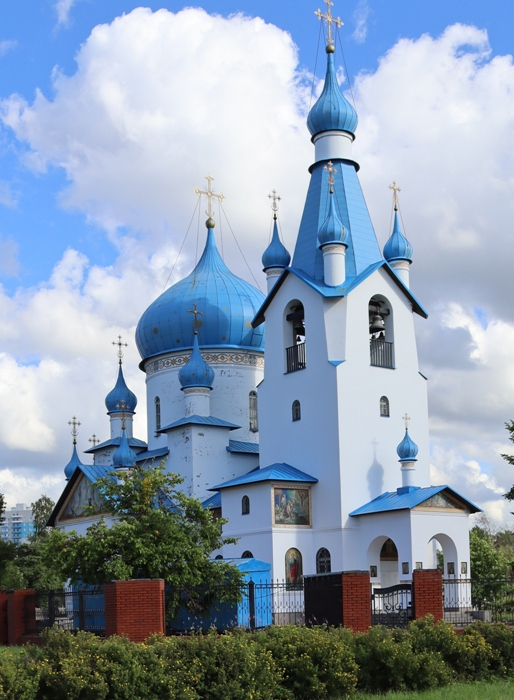 IMG_2519 (514x700, 383Kb)